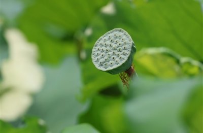 ​好听带符号的网名(优选60个)