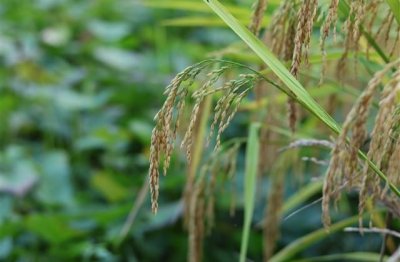 ​老师鼓励学生的暖心话 老师最能打动学生的话