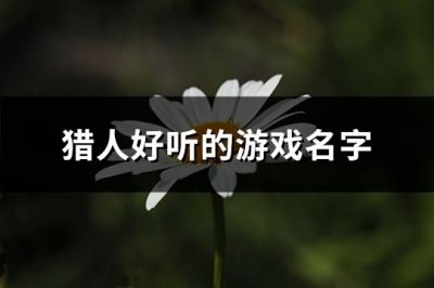 ​猎人好听的游戏名字(优选381个)