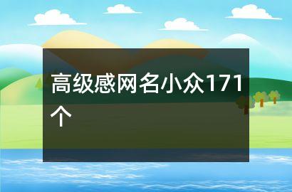 高级感网名小众171个