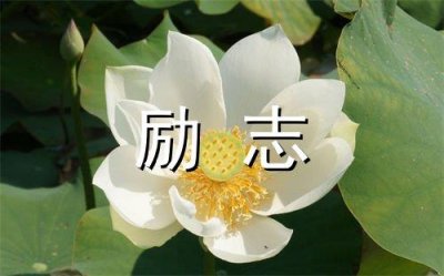 ​平心静气修身养性的句子(26句)